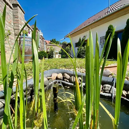 Biborlak * 维拉尼