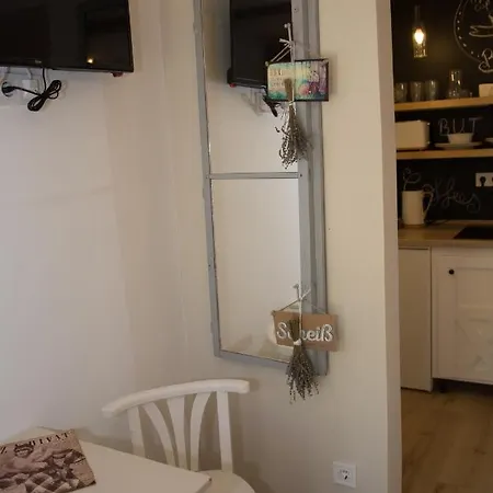 Biborlak 公寓 维拉尼