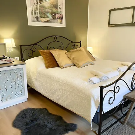 公寓 Biborlak 维拉尼